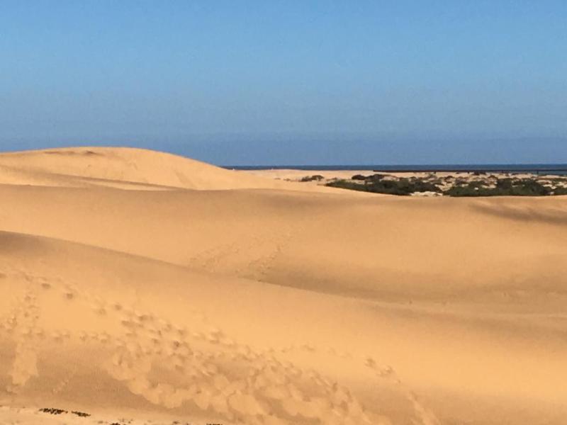 Organic Stay Guesthouse Swakopmund Eksteriør billede